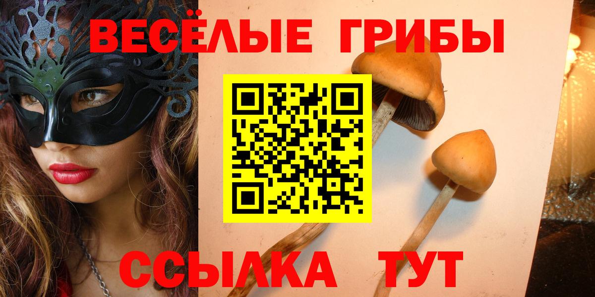 Галлюциногенные грибы Psilocybine cubensis  где продают   Дедовск  Вход с VPN 