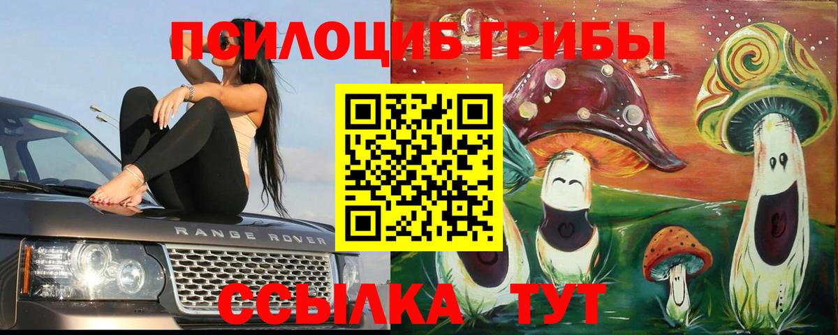 Псилоцибиновые грибы ЛСД Дедовск